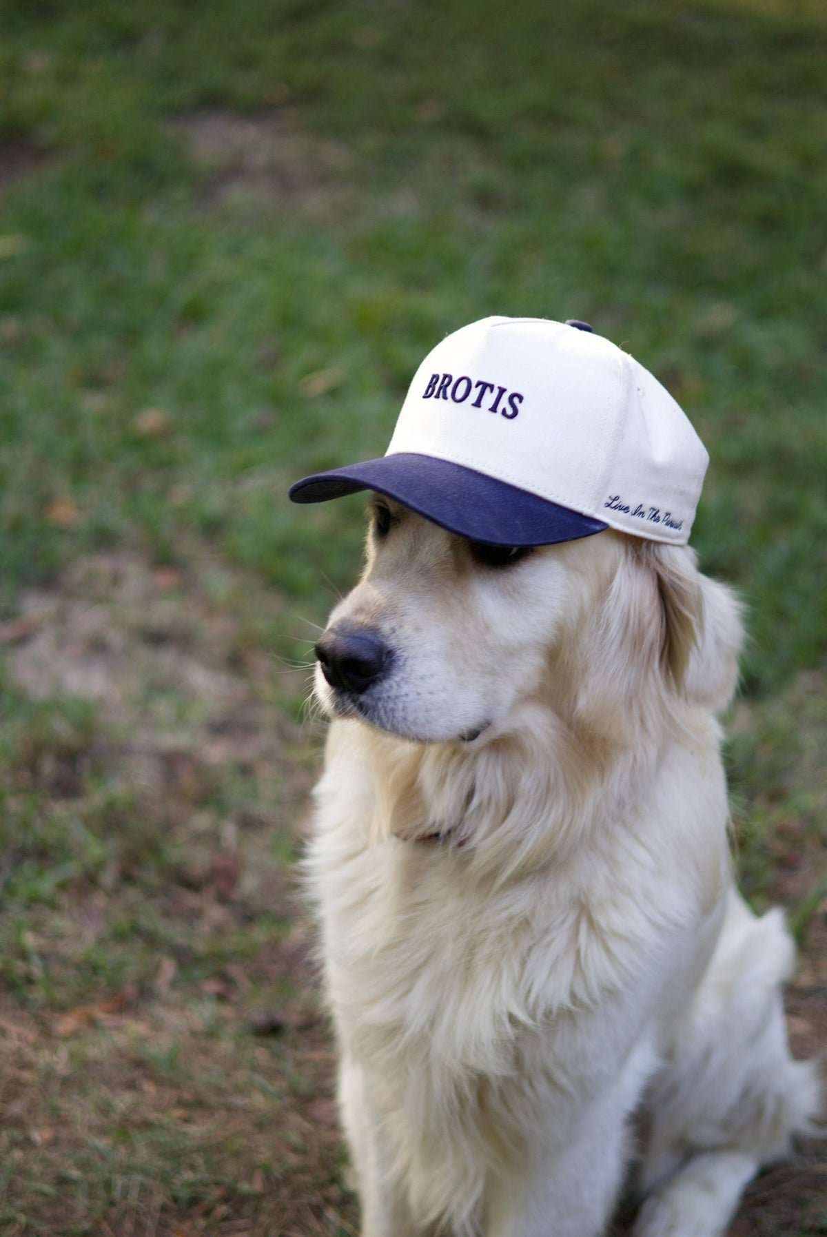 Brotis Hat